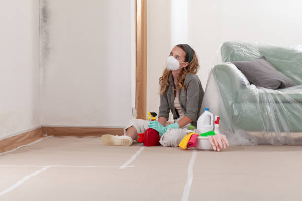 Reliable Mold Testing contractor in New Paris, PA by WQB Mold Removal